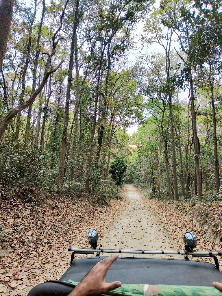 केकय नारायण सिंह tweet media