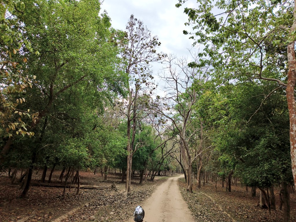 केकय नारायण सिंह tweet media