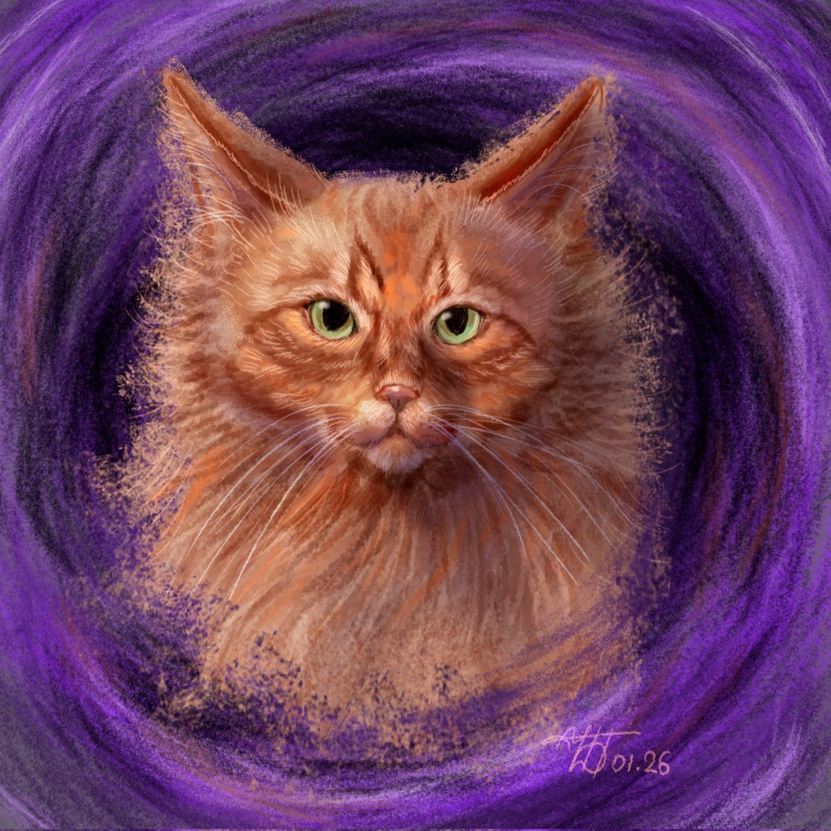 🦊 Lislis_art 🦊 tweet media