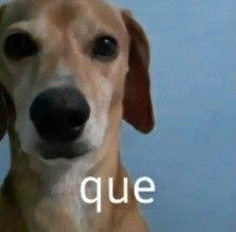 Carol `𖹭´ 📖: Are All Guides Usually Like This tweet media