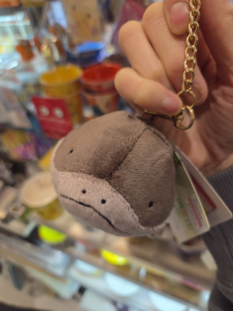 ඊきょうちゃんඊ tweet media