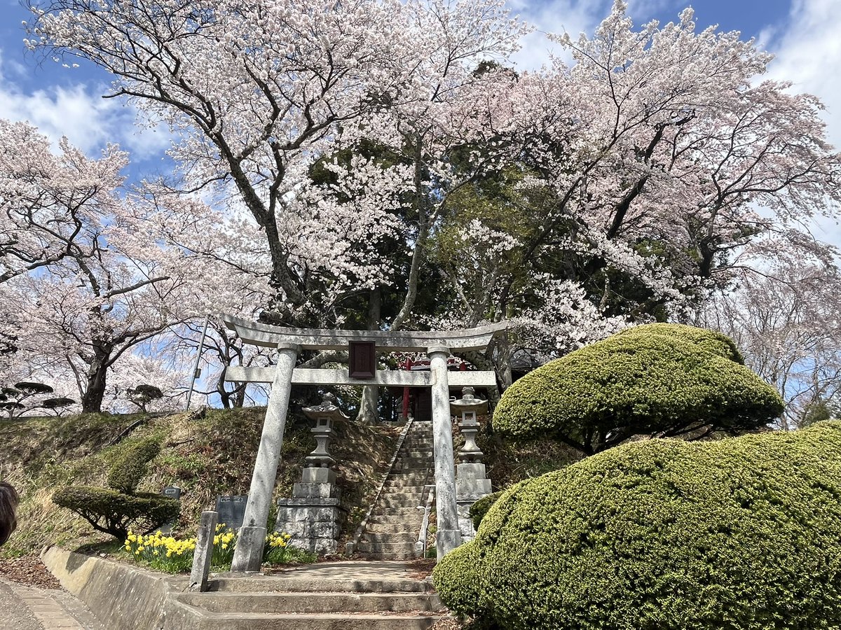 りこパン tweet media