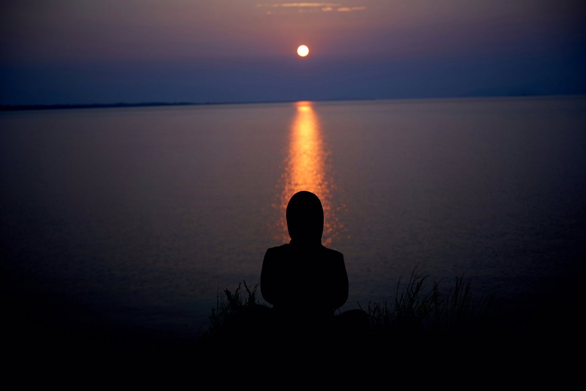 BNdiaria tweet media