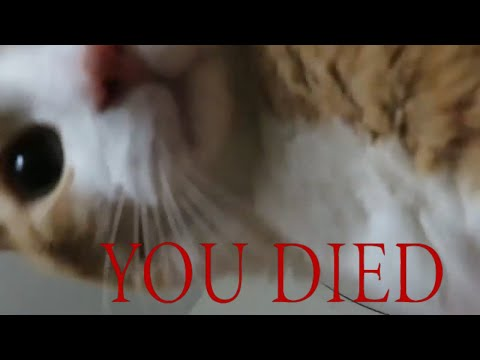 🇻🇳 Grab Handle - HNBG 🍉 tweet media