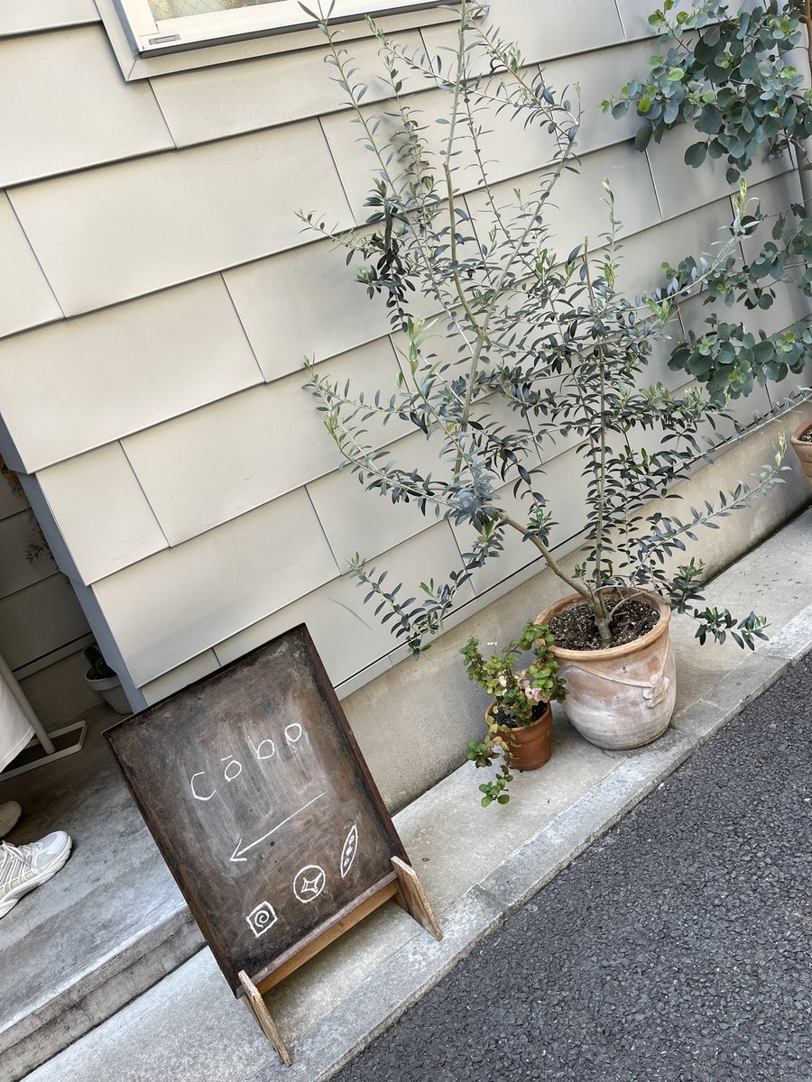 ひとみ tweet media