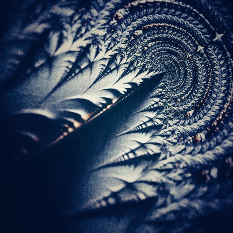 grainie_'s tweet image. #fractal