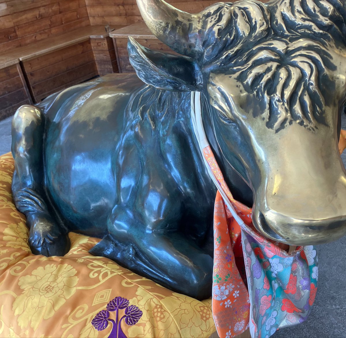 海苔鮫 tweet media