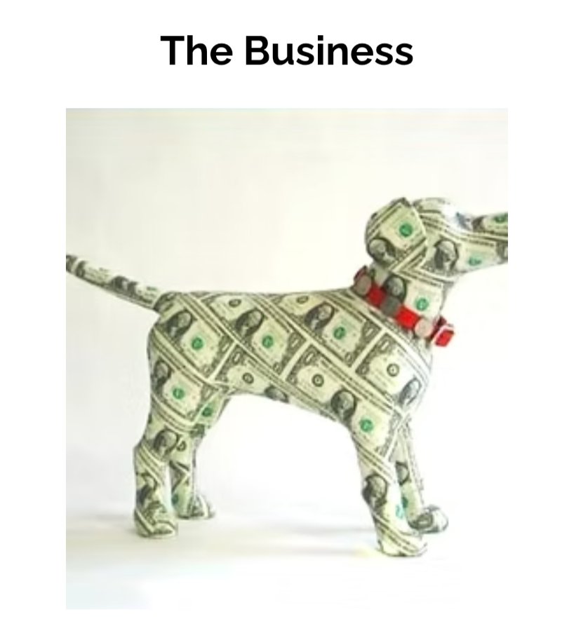 #rosafond always has a hair brain excuse for lack of transparency. Slipping into victimhood blaming "Drama Karens."

Predictable but not plausible. She wants you to believe someone will "steal" a dog. 

A lame excuse for not showing vet bills!

haauexposed.com/the-business/