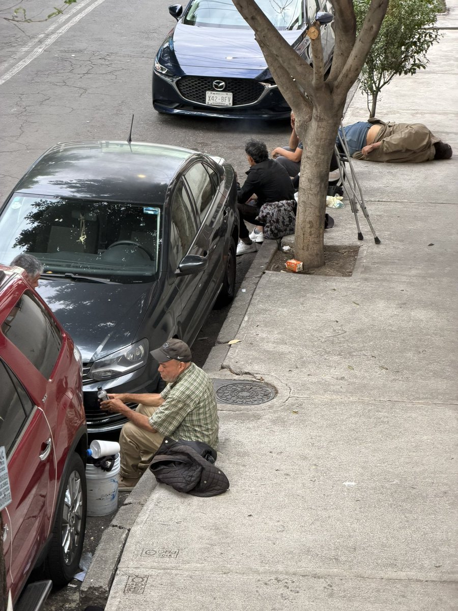 Gustvb1's tweet photo. @jossig06 @ClaraBrugadaM @BJAlcaldia Que falsedad que solo por que mañana 16 de abril 2026 viene @ClaraBrugadaM  limpien y piensen las calles, TODO FALSO con este gobierno y lleno de indigentes pero mañana no habrá nada de eso solo por que viene la señora y fingirán que todo en orden @BJAlcaldia  puras mentiras https://t.co/qNy47ywlG4