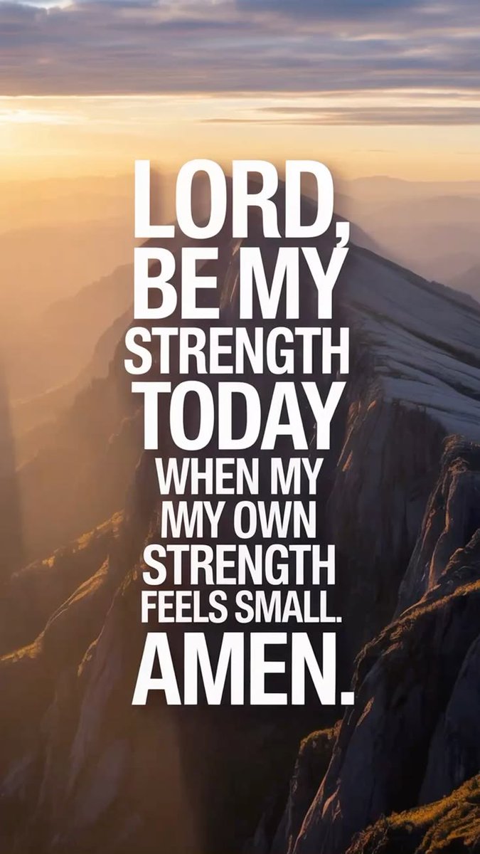 Maxx Meow tweet media