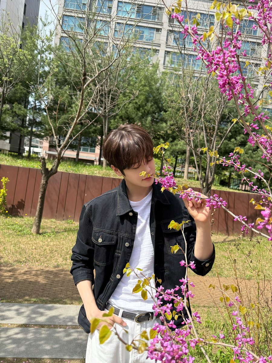 마짱🤍 tweet media