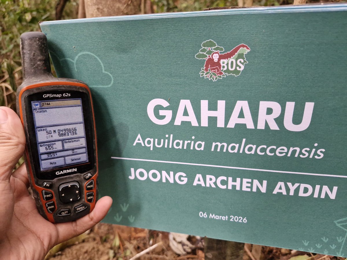hanikebab's tweet photo. just got updated from bos foundation team, there is a tree named joong archen aydin 🥹🫶🏻 @ChenRcj #จุงอาเชน #joongarchen https://t.co/BEpdAt8QNz