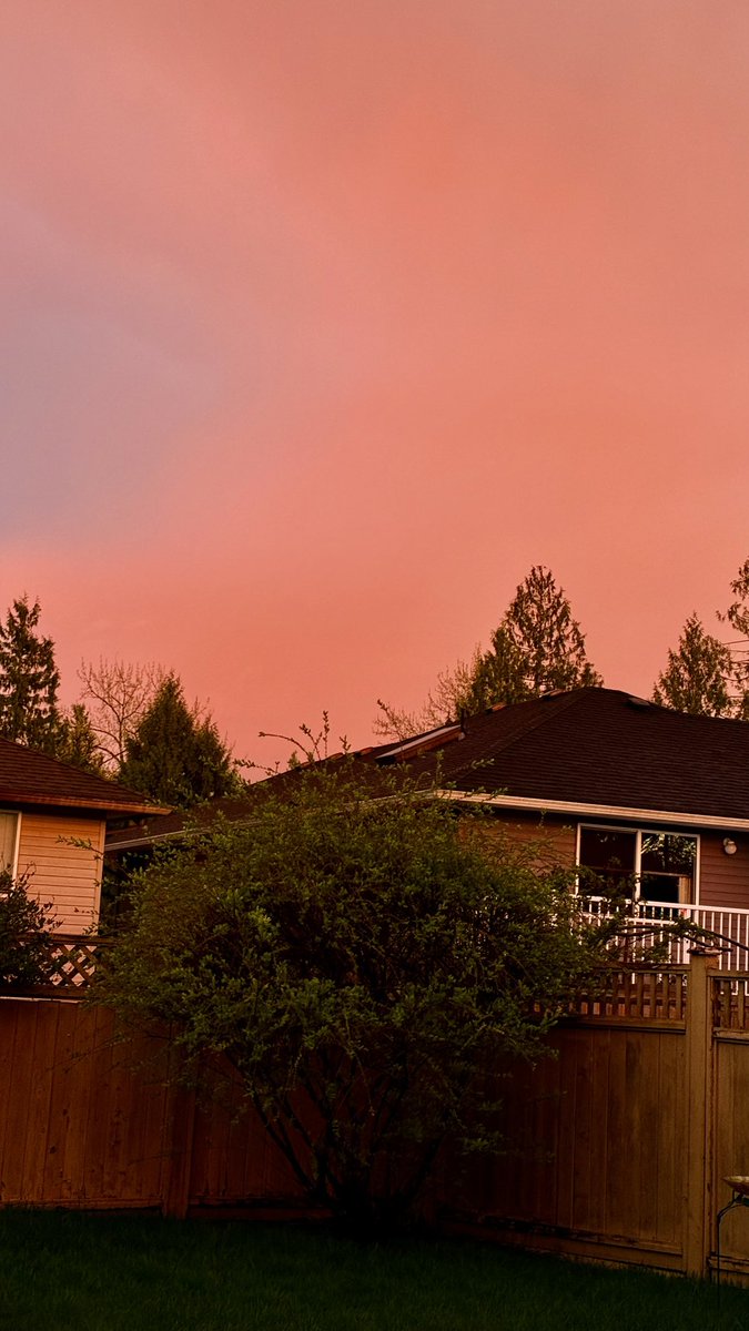 Sherry ells tweet media