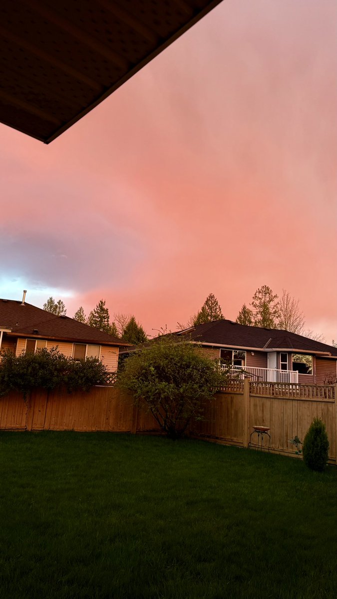 Sherry ells tweet media