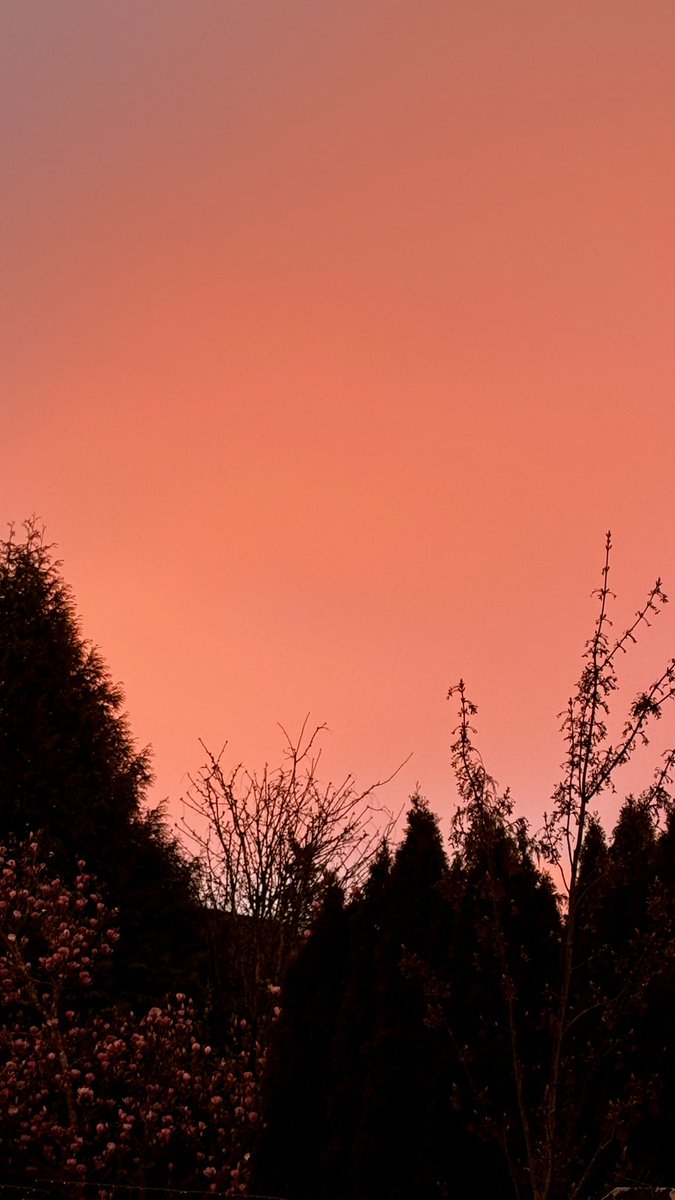 Sherry ells tweet media