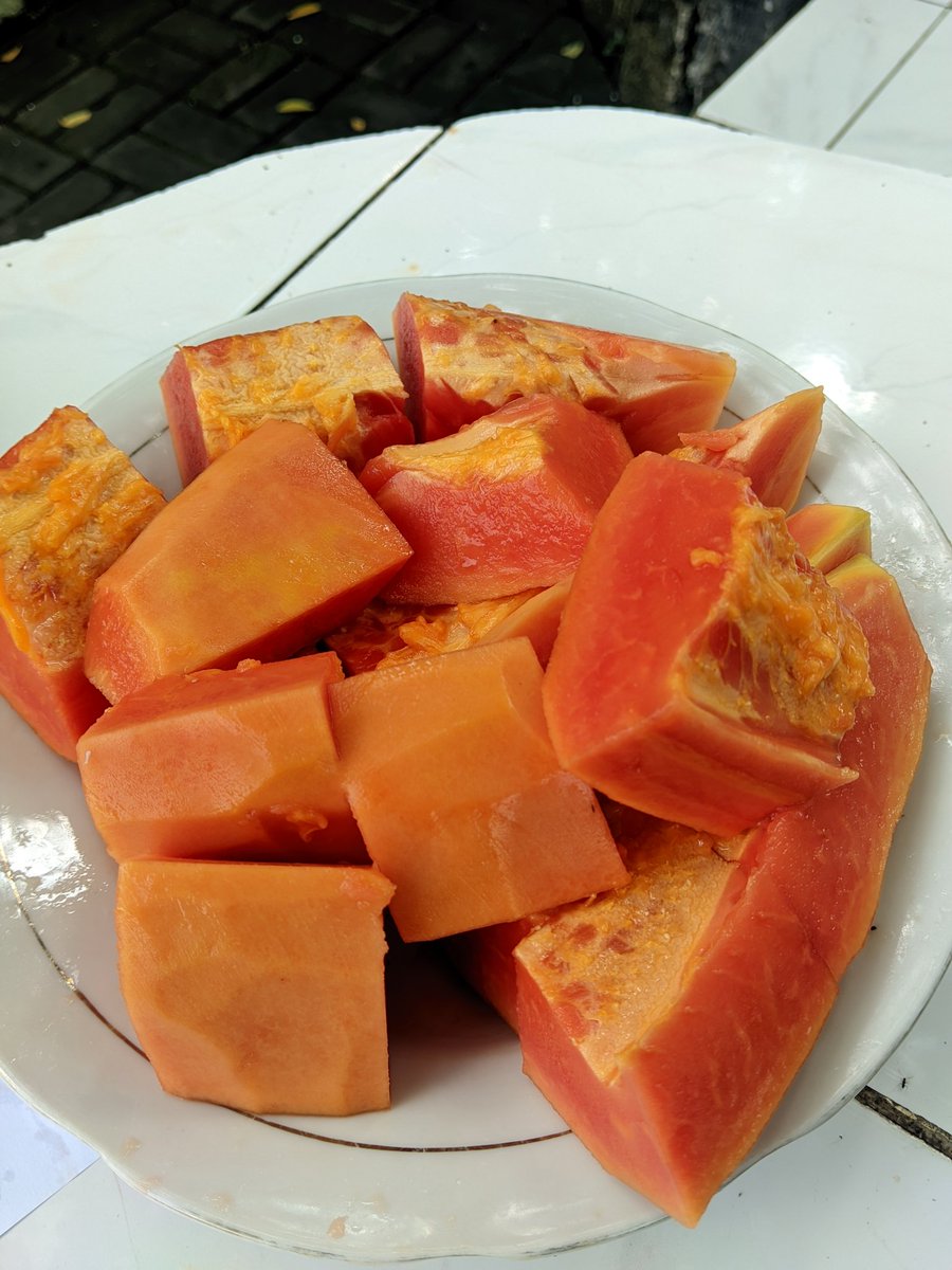 Шahyu¹⁴⁴ᵖ tweet media