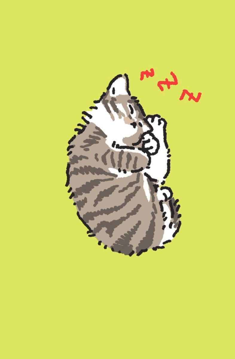 쏠티네나비랑돌비 tweet media