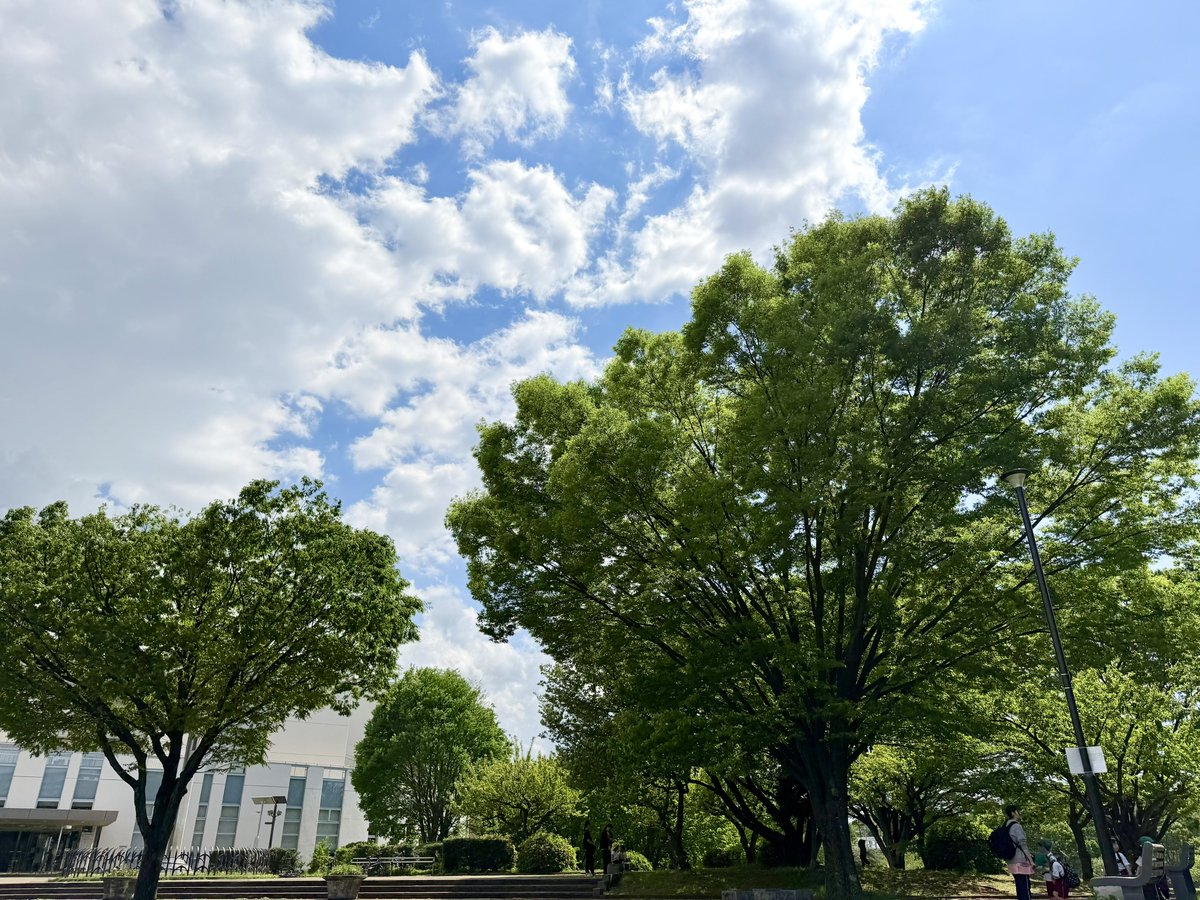 4月16日
まだ4月中旬だというのに、すっかりGW並みの気温と体感
真夏どころか、GWに真夏日連発とかになるのでは……

どことなく空も春というより初夏っぽい
#イマソラ #和光樹林公園
