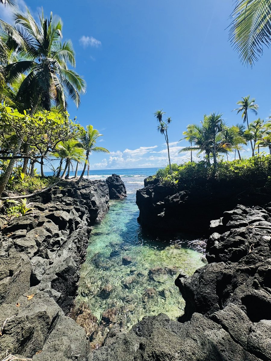 deenerrys's tweet photo. Rotuma - Day 2 https://t.co/LBl9lRTTdM