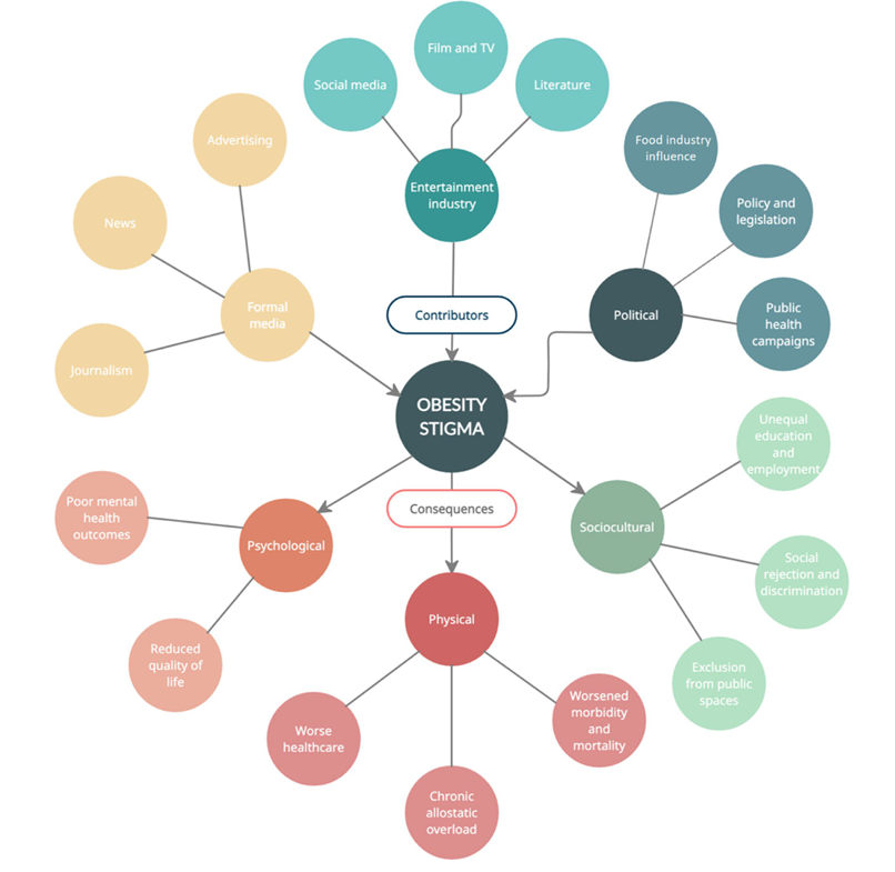 Dr. Carlos Arnaud tweet media