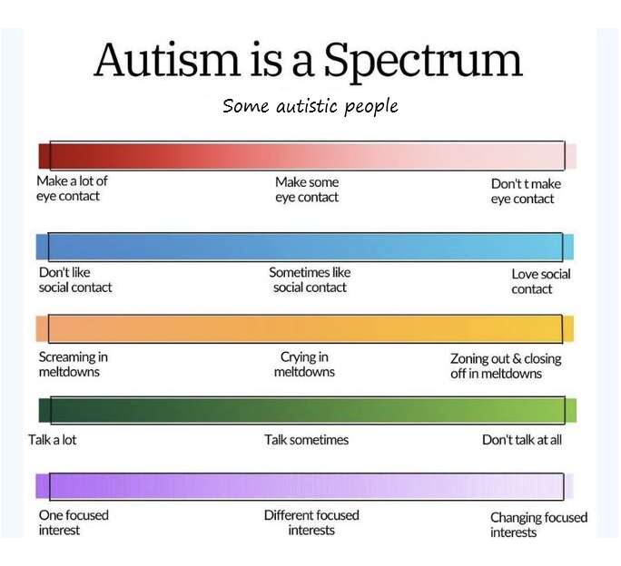 No Nonsense Neurodivergent tweet media