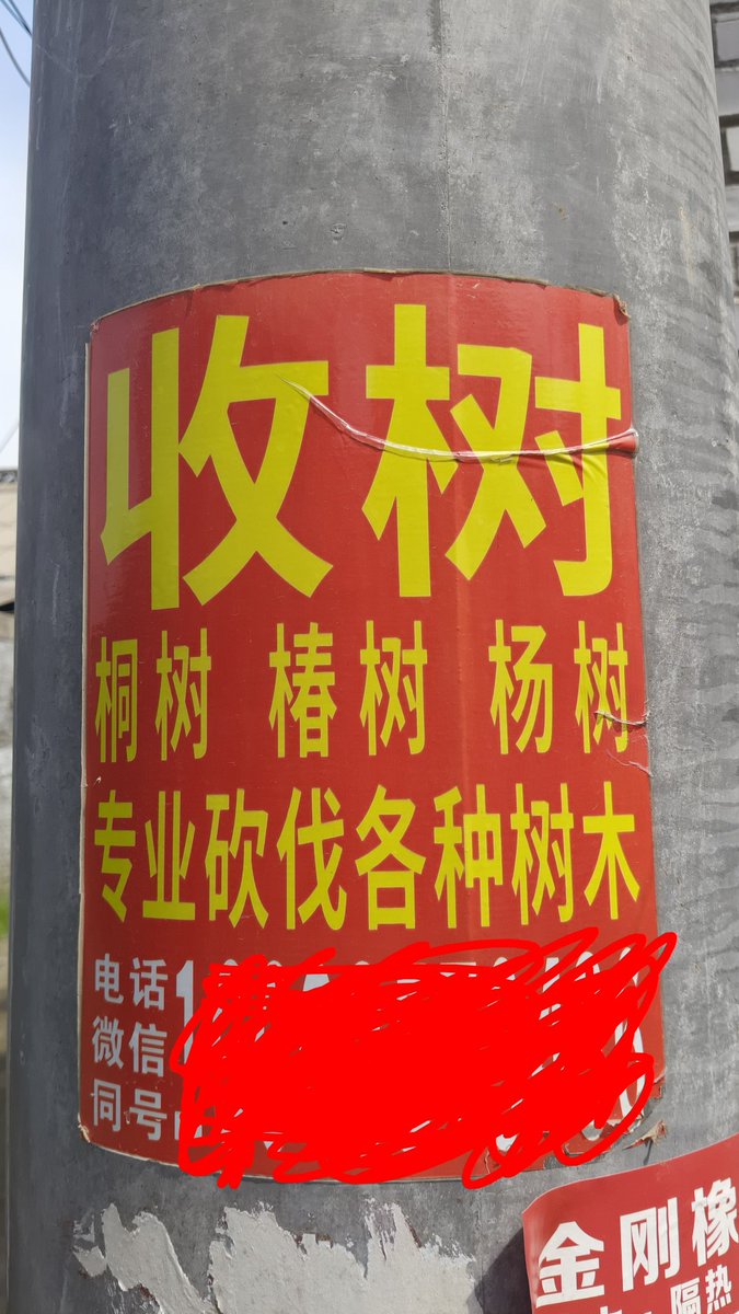 顾云沫 tweet media