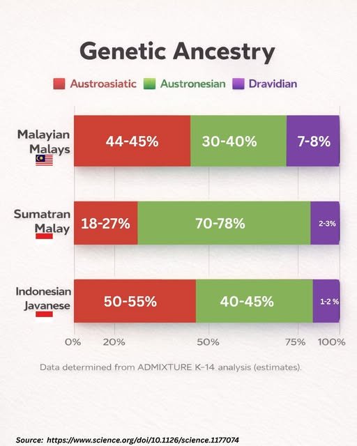 Ignatius Ryd tweet media