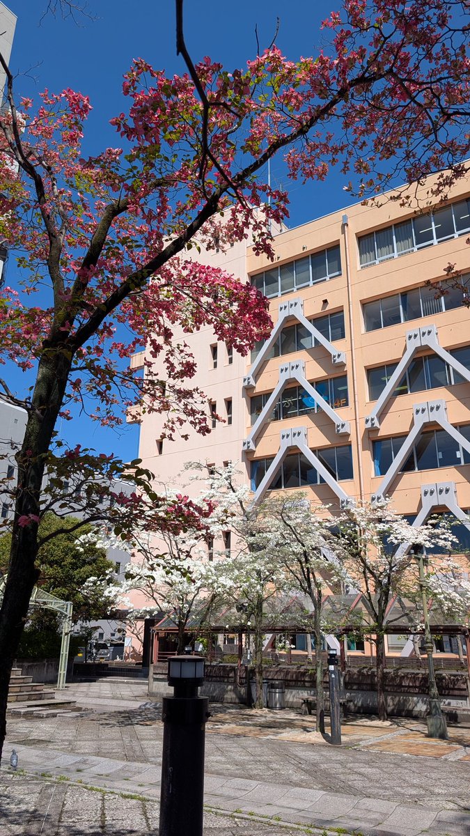 佐藤 望 tweet media