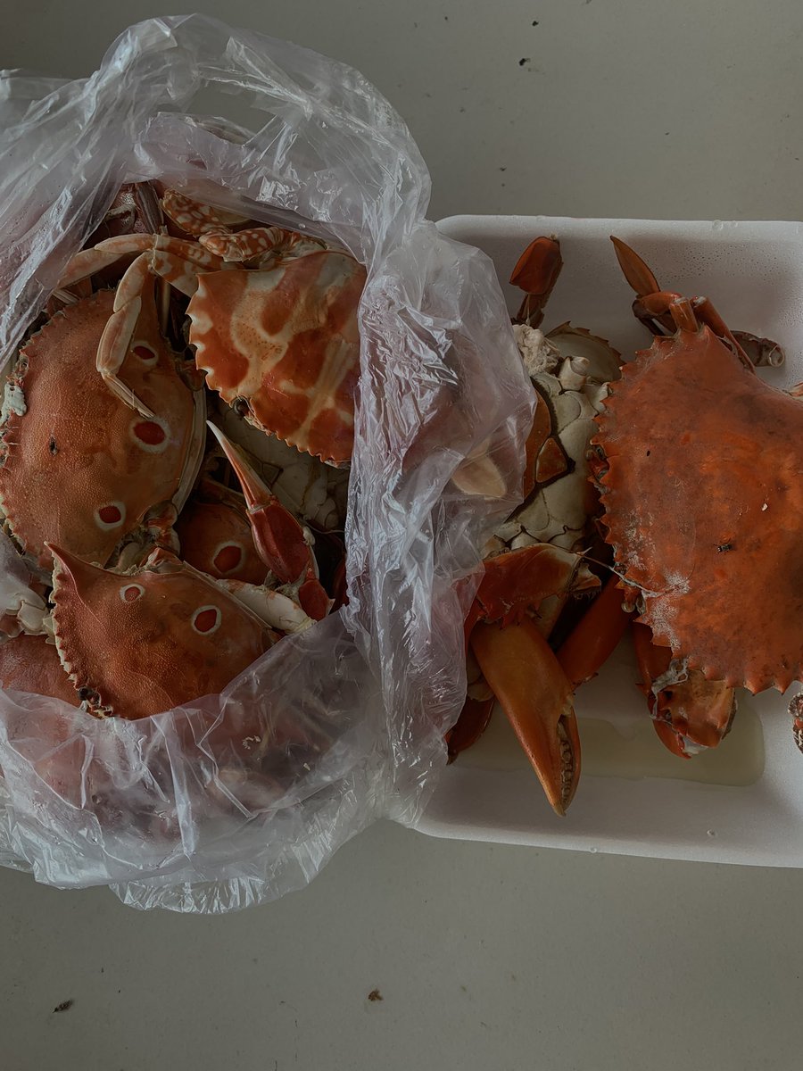 Bé Dâu đây nàiii tweet media