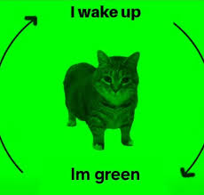 Pipit Wallet tweet media