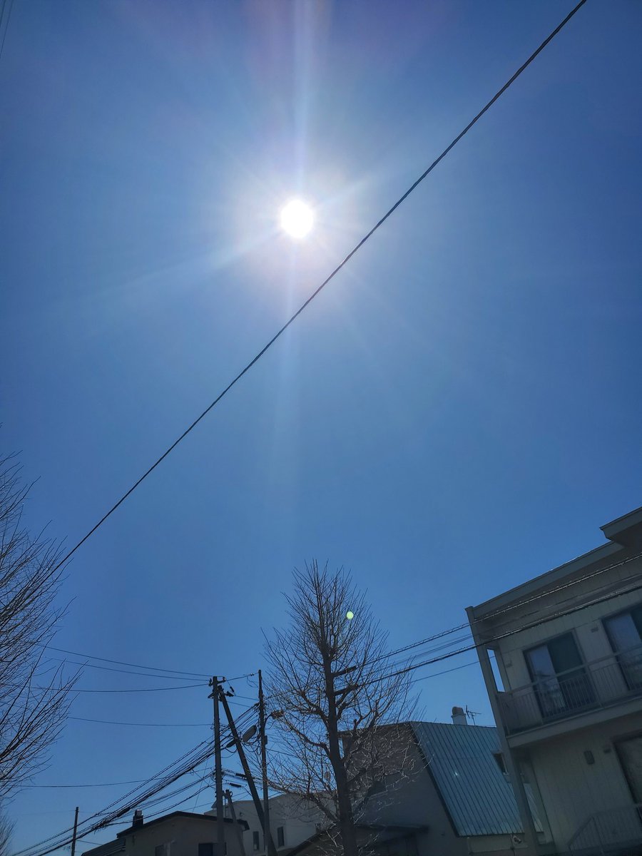 桜井瞳🍓君が生きる意味 tweet media