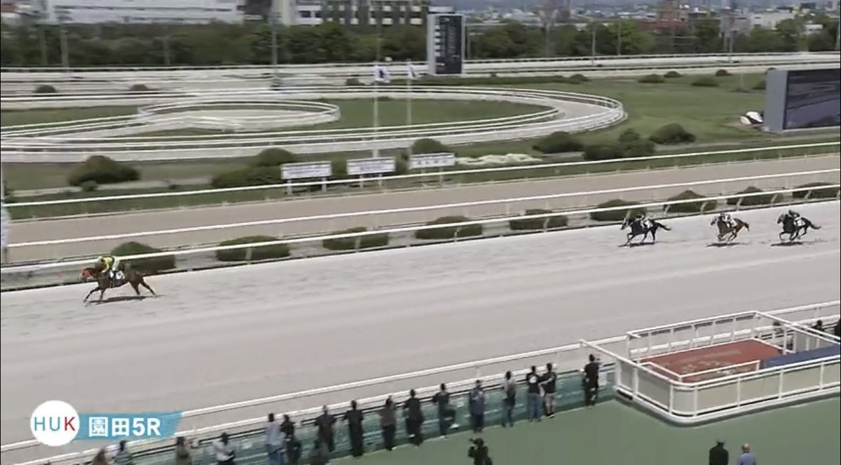 ひ か り tweet media