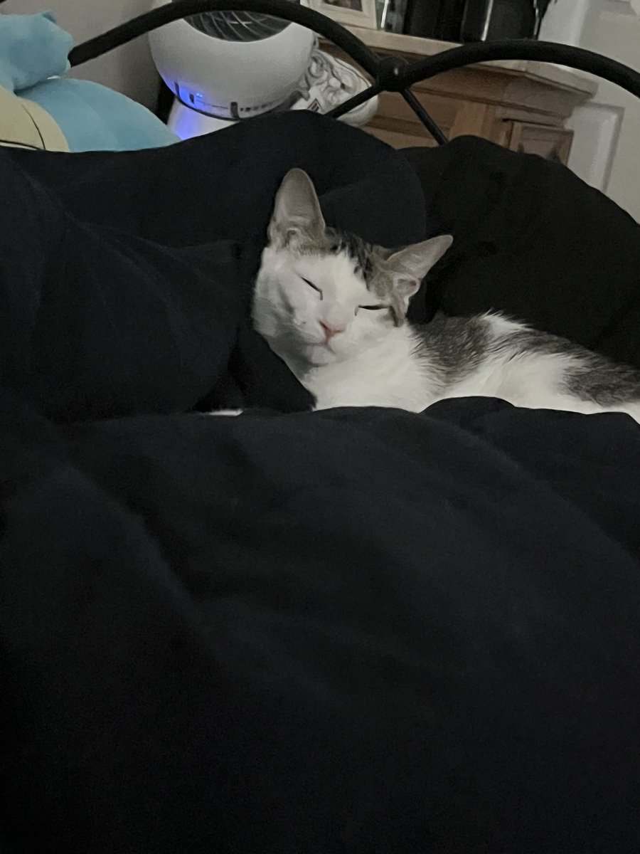 Daily Pixel 🌱 tweet media