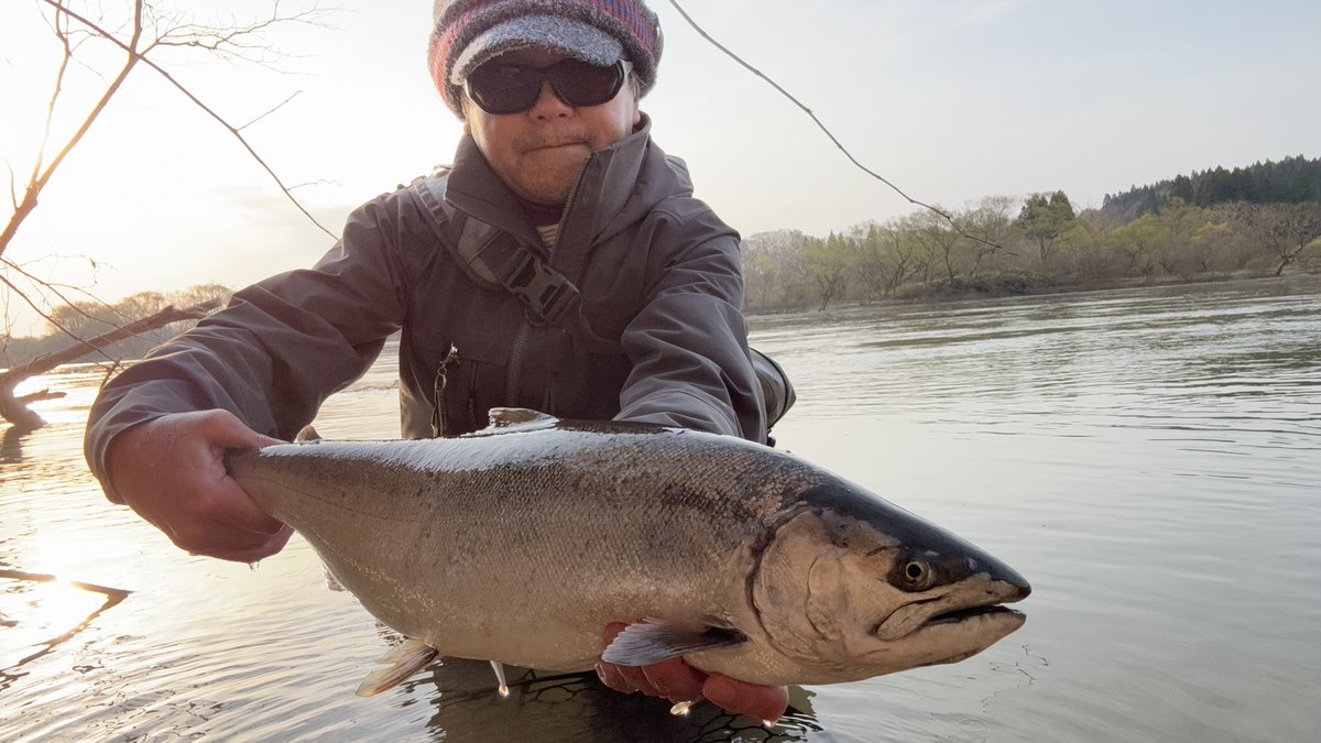 hmduk's tweet photo. はぴるん県サクラマス今年もようやく2キャッチできました🌸🎣 https://t.co/CCIfYpLtuU