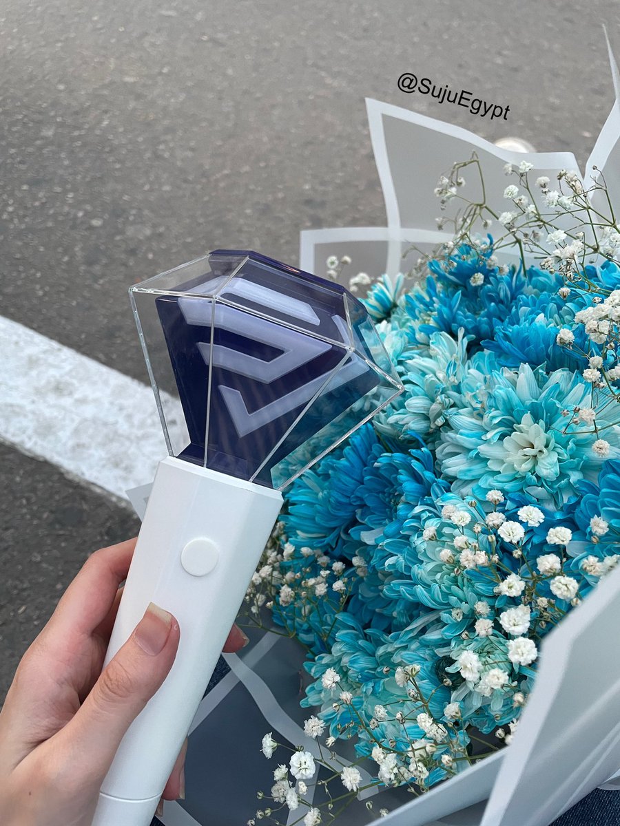 EGYPTIAN ELF 🇪🇬 tweet media