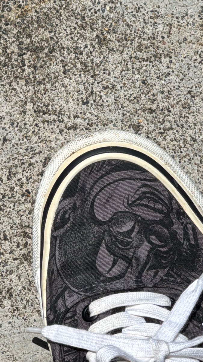 ぱせり tweet media