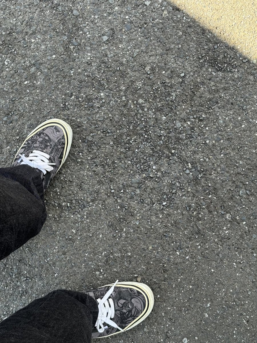 ぱせり tweet media