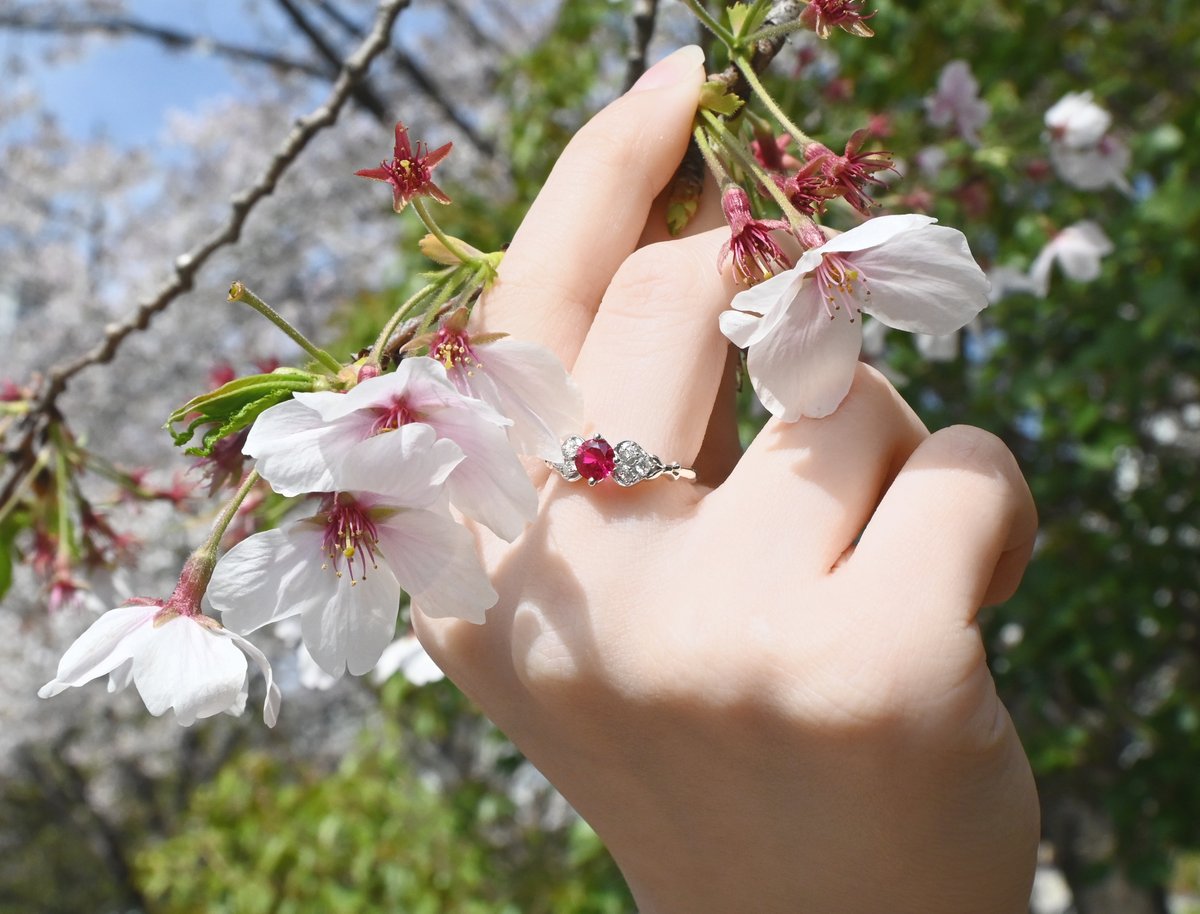 엘리그✨️ tweet media