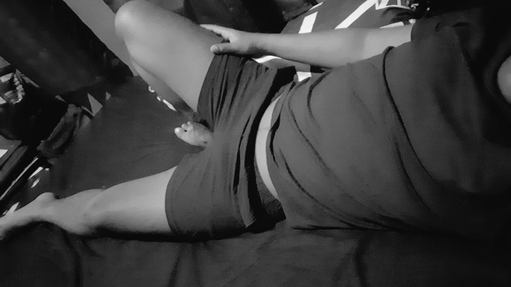 Alpaca 🐑 tweet media