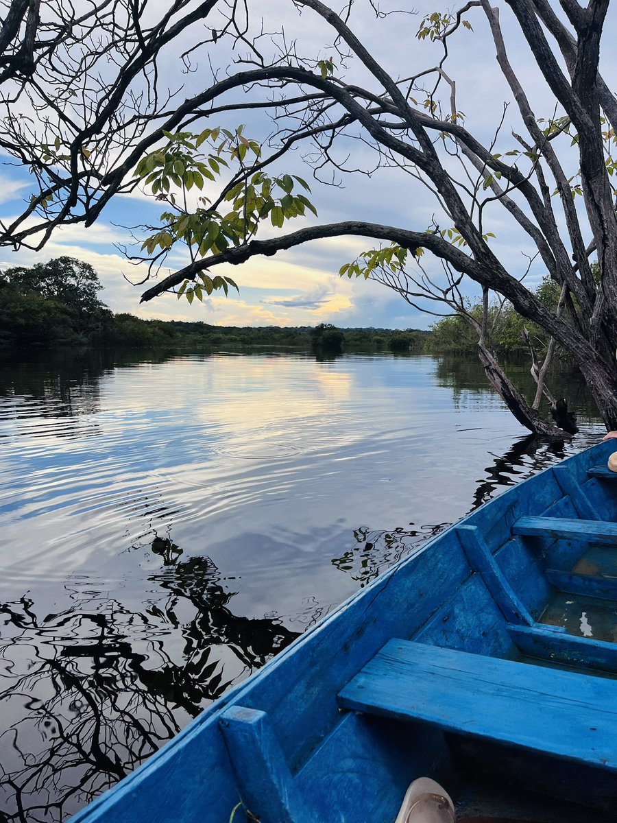Te amo Amazonas
