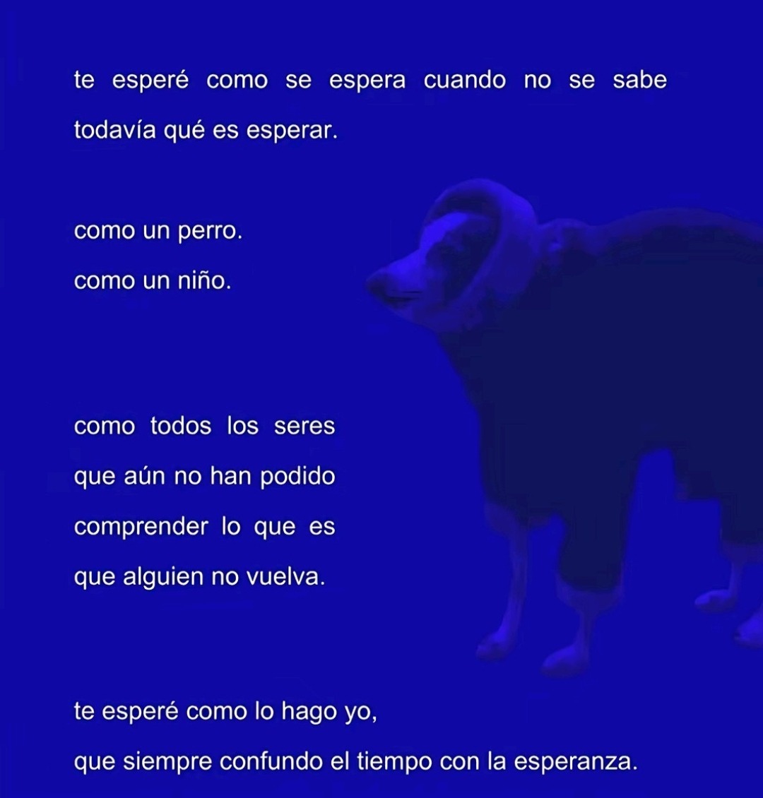 bauldefrases (@suspirxsalaire) on Twitter photo 