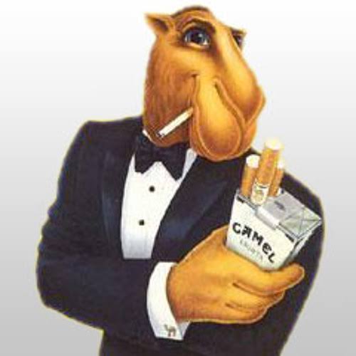 EL ELEGIDO tweet media