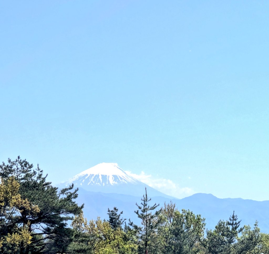 しゃけた🍞ライブ枯渇 tweet media