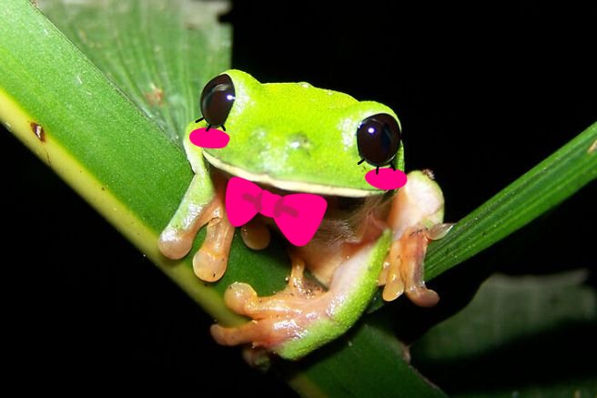 ︎ ︎ ︎ ︎ ︎ ︎ ︎ ︎ ︎ ︎ ︎ ︎ ︎ ︎ ︎ ︎ ︎ ︎ ︎ ︎ ︎ ︎ ︎ ︎ tweet media