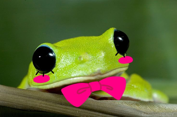 ︎ ︎ ︎ ︎ ︎ ︎ ︎ ︎ ︎ ︎ ︎ ︎ ︎ ︎ ︎ ︎ ︎ ︎ ︎ ︎ ︎ ︎ ︎ ︎ tweet media