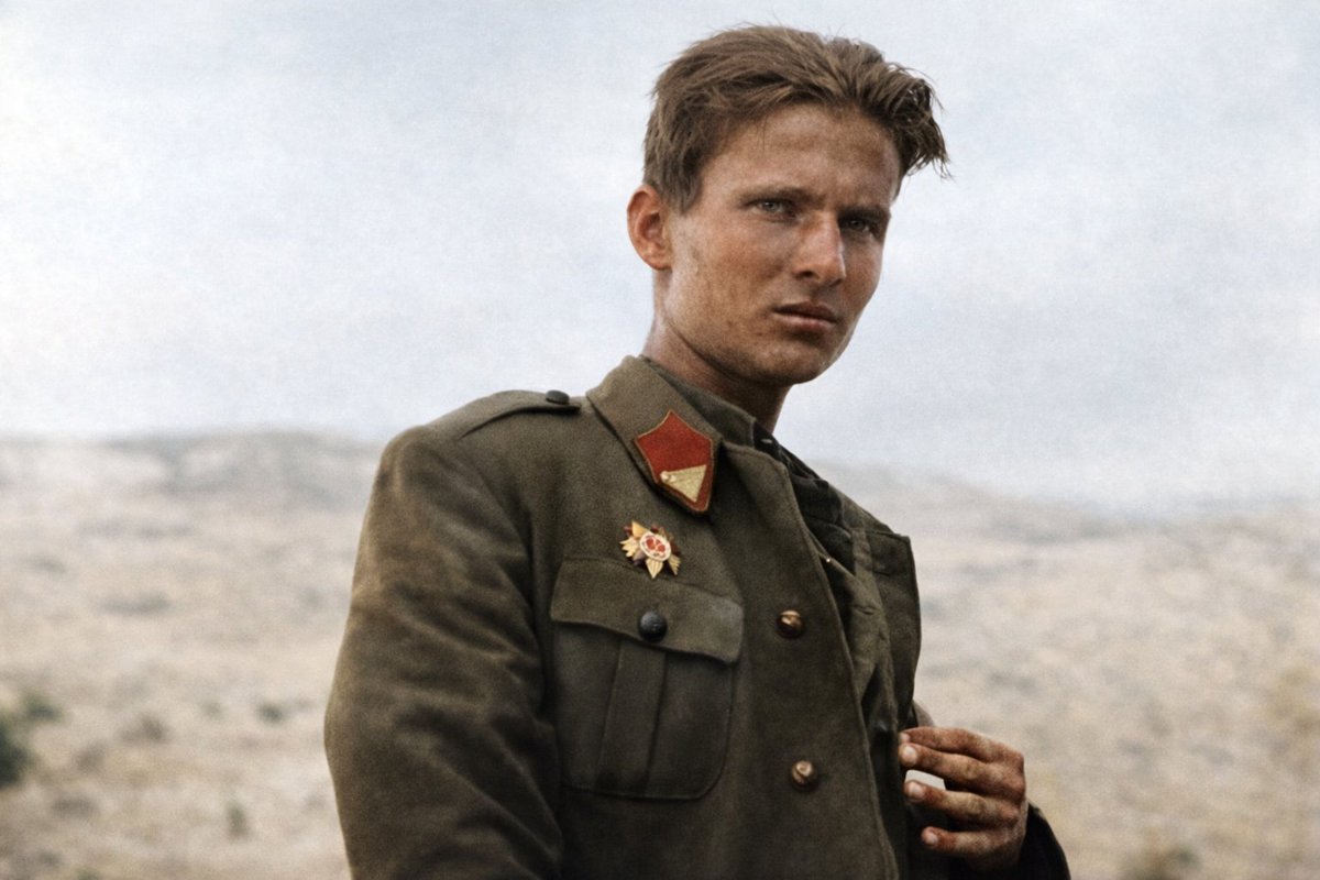 WW2 The Eastern Front tweet media