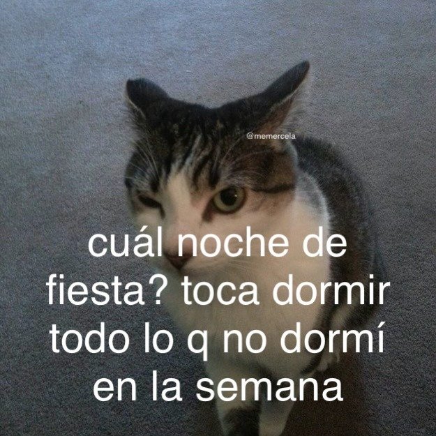 bauldefrases tweet media