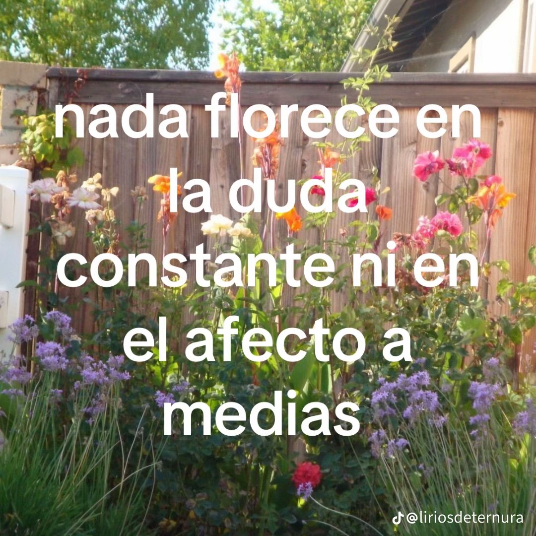 bauldefrases tweet media