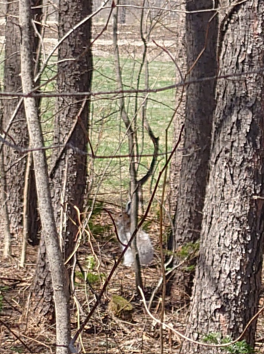 いくつになっても甘えん坊 tweet media