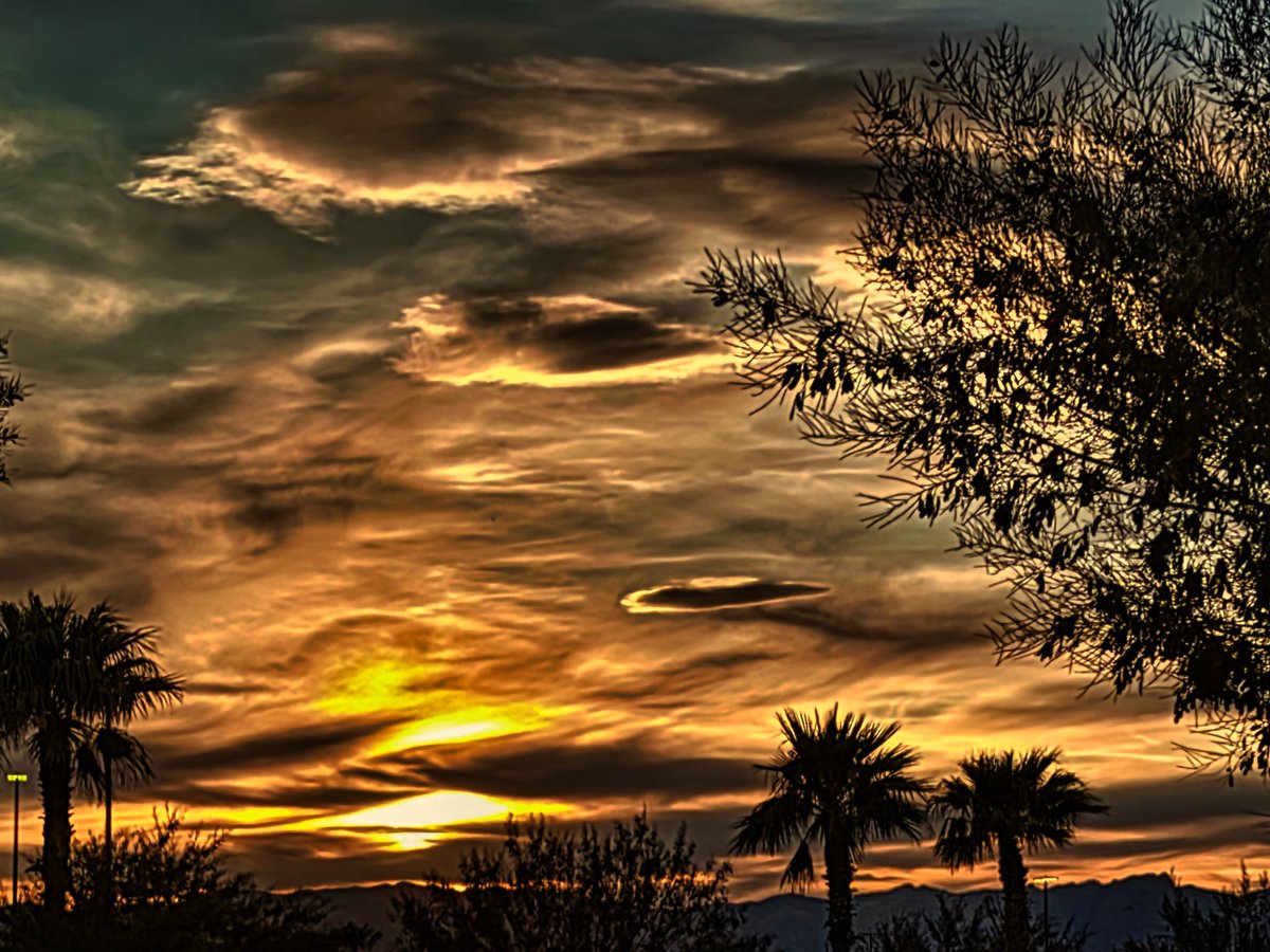 Timothy Benoit tweet media